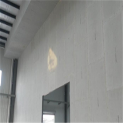 衢州宁波ALC板|EPS加气板隔墙与混凝土整浇联接的实验研讨